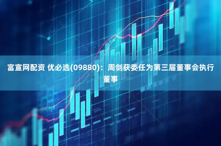 富宣网配资 优必选(09880)：周剑获委任为第三届董事会执行董事