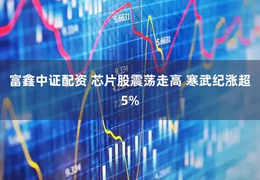 富鑫中证配资 芯片股震荡走高 寒武纪涨超5%