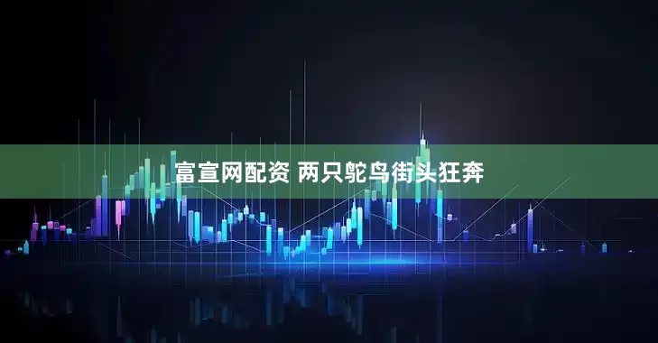 富宣网配资 两只鸵鸟街头狂奔