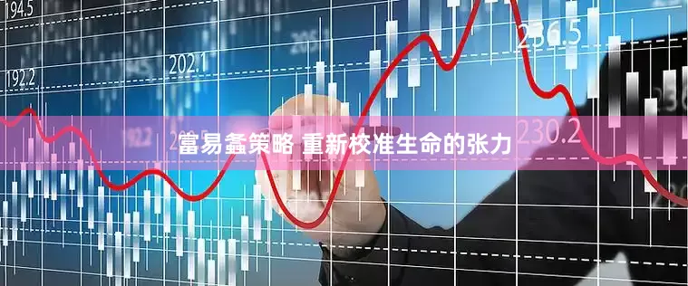 富易螽策略 重新校准生命的张力