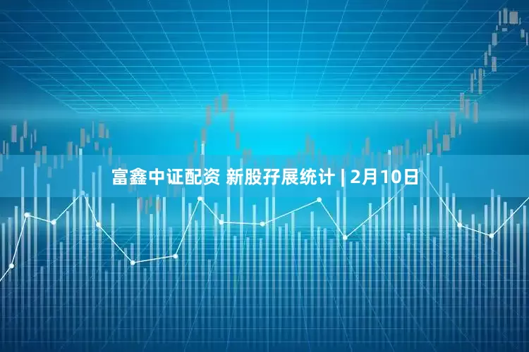 富鑫中证配资 新股孖展统计 | 2月10日